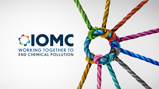IOMC working together to end chemical pollution