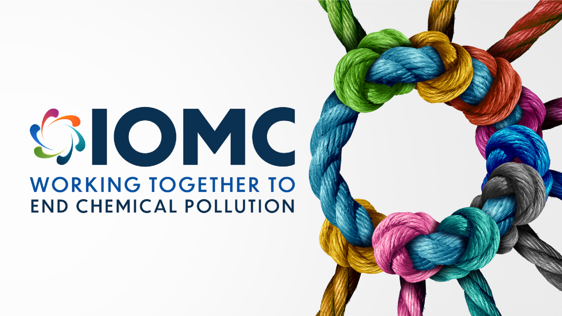 Inter-Organization Programme for the Sound Management of Chemicals (IOMC)